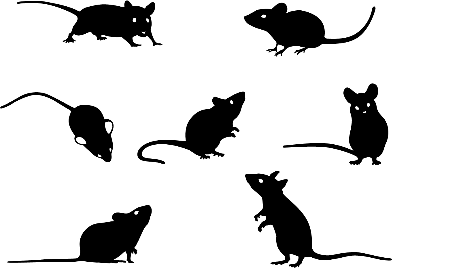 屋根裏にネズミがいる その足音や鳴き声から確認方法をご紹介 大帝リビング株式会社 屋根裏にネズミがいる その足音や鳴き声から確認方法をご紹介 大帝リビング株式会社